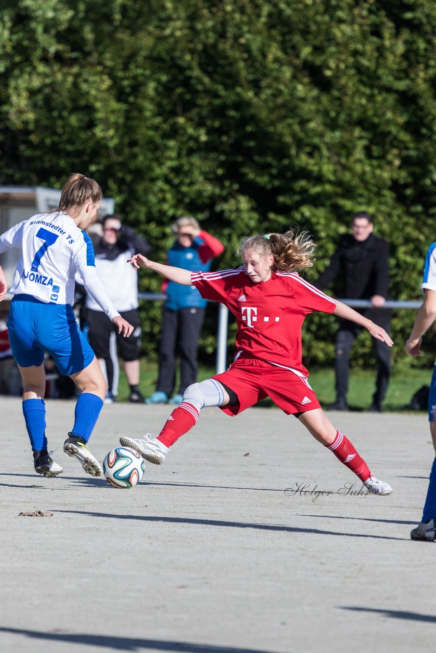 Bild 98 - Frauen SV Wahlstedt - Bramstedter TS : Ergebnis: 12:0